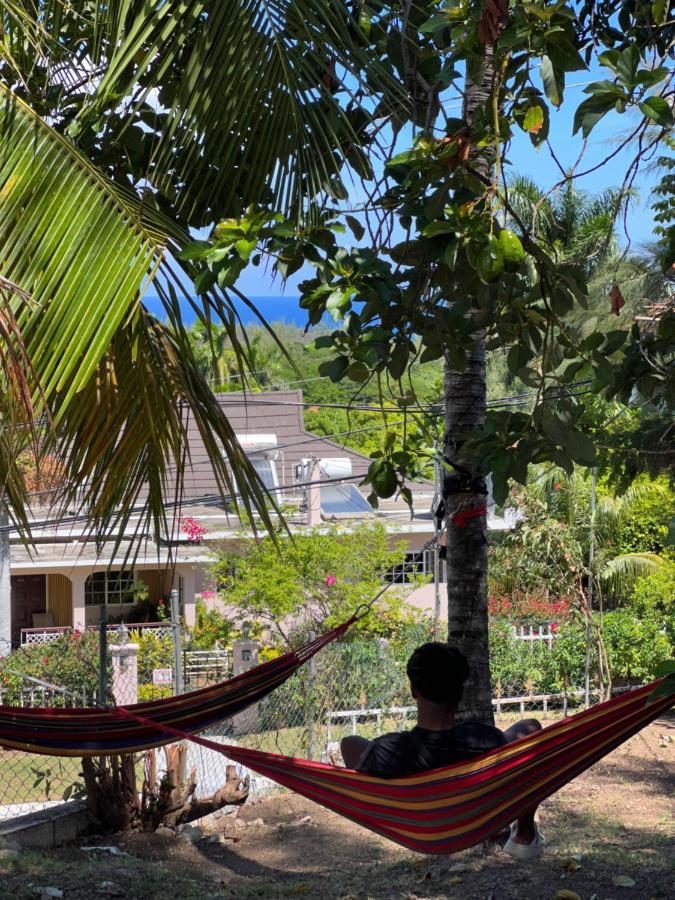 The Lodge @ Peaceful Palms Montego Bay Exterior foto